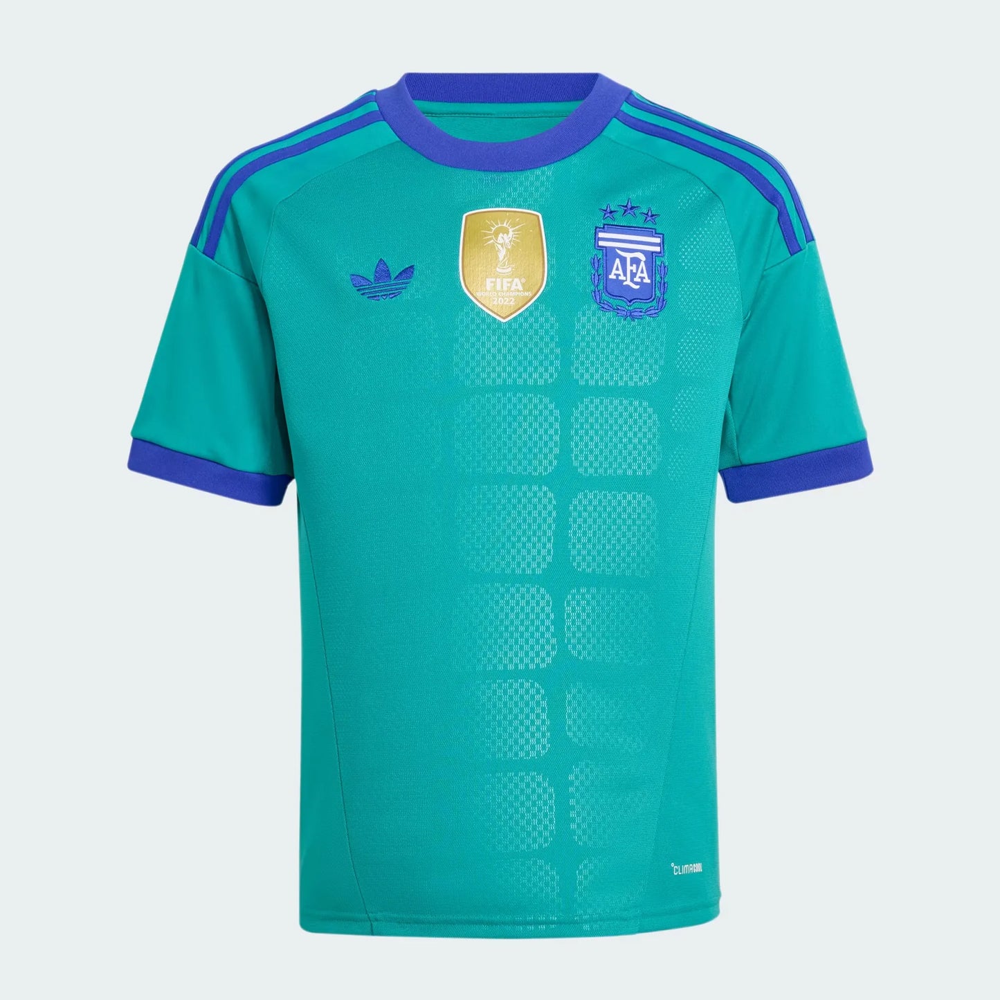 Camiseta Alternativa Arquero Selección Argentina 26 Niños