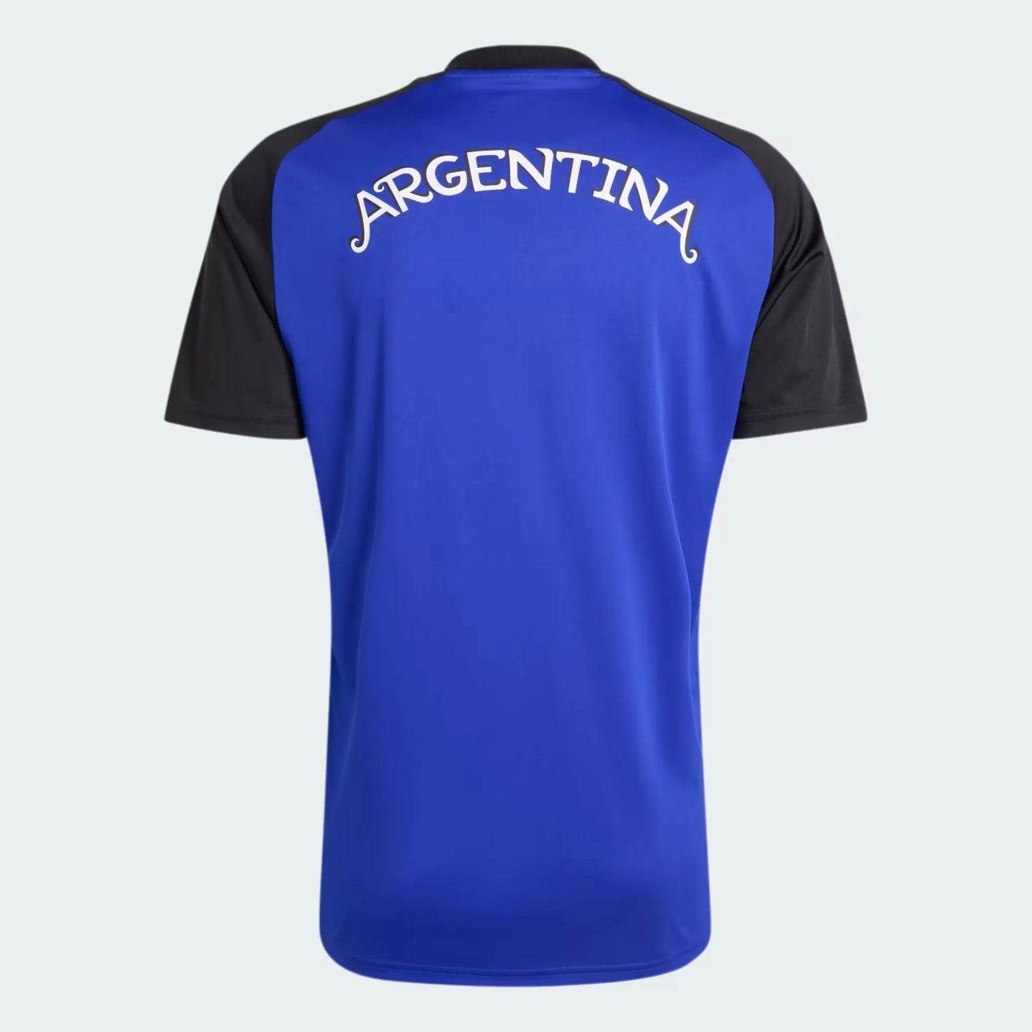 Camiseta Alternativa Prepartido Selección Argentina 26