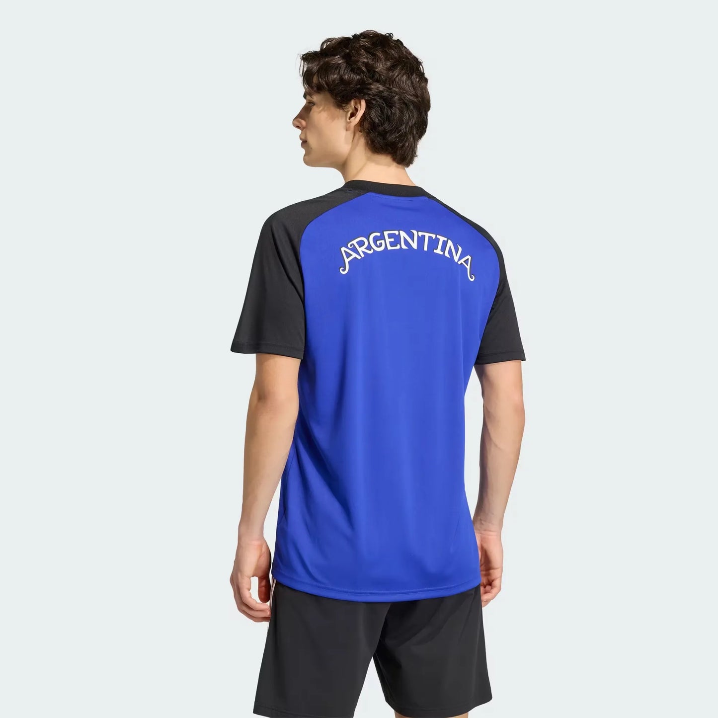 Camiseta Alternativa Prepartido Selección Argentina 26