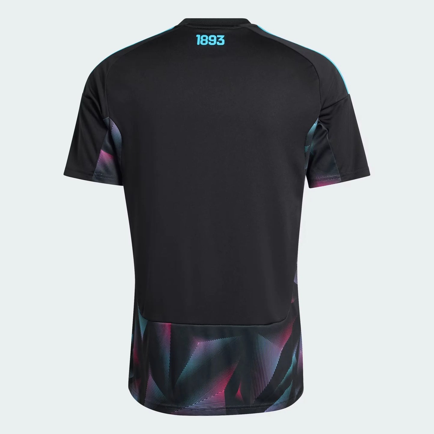 Camiseta Titular Arquero Selección Argentina 26