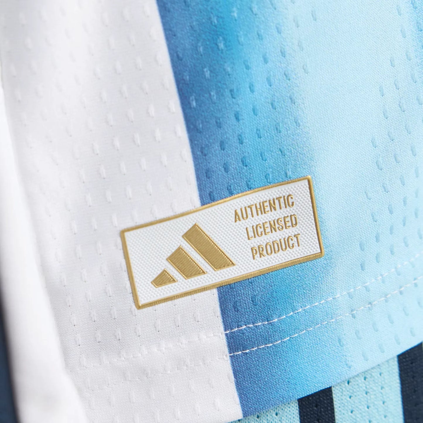 Camiseta Titular Selección Argentina 26 Manga Larga Versión Jugador