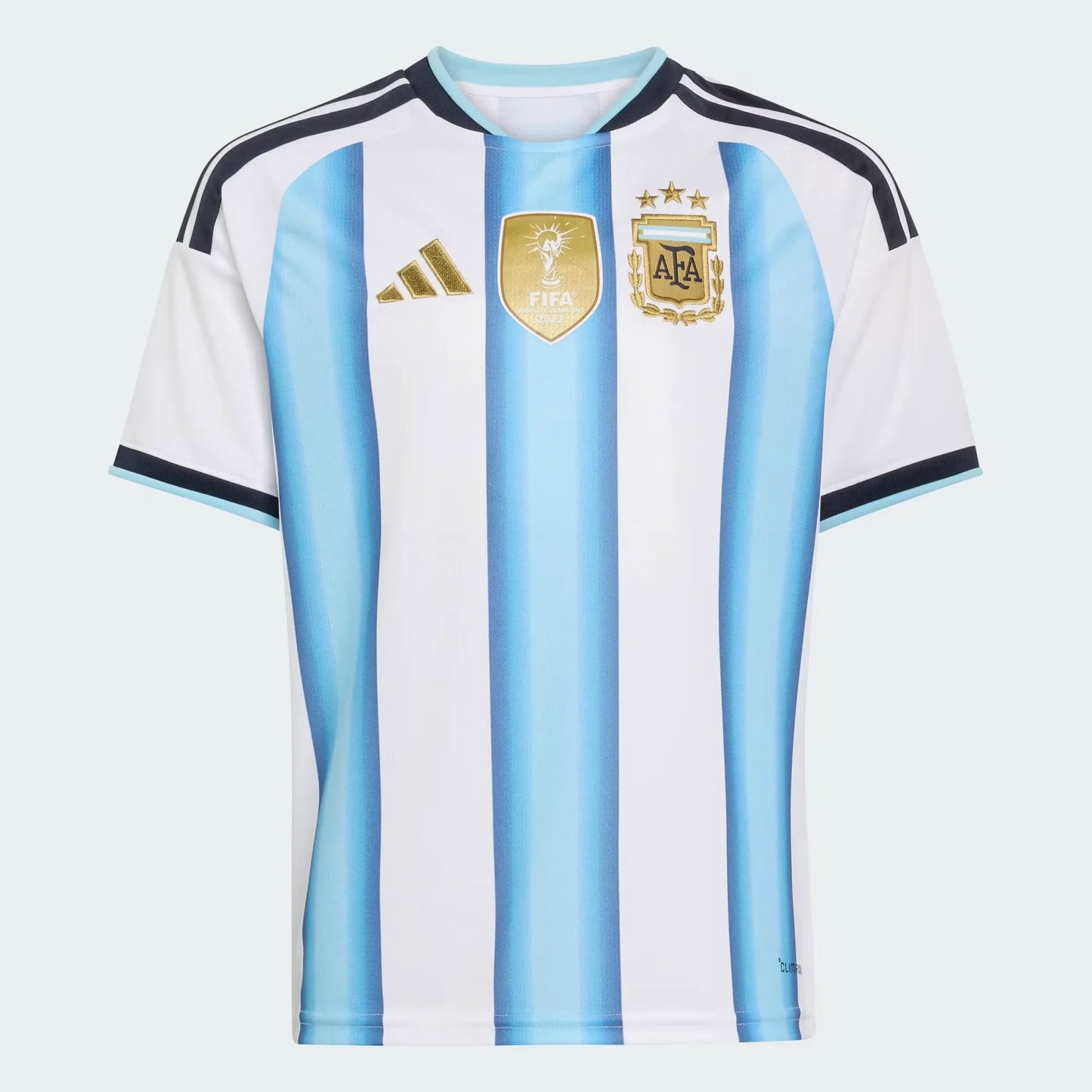 Camiseta de la primera equipación para hombre