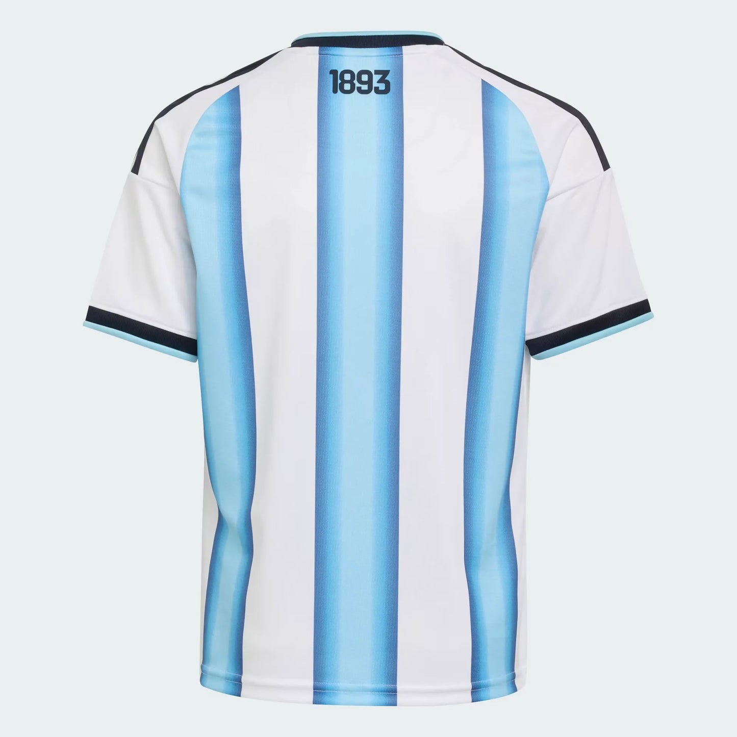 Camiseta de la primera equipación para hombre