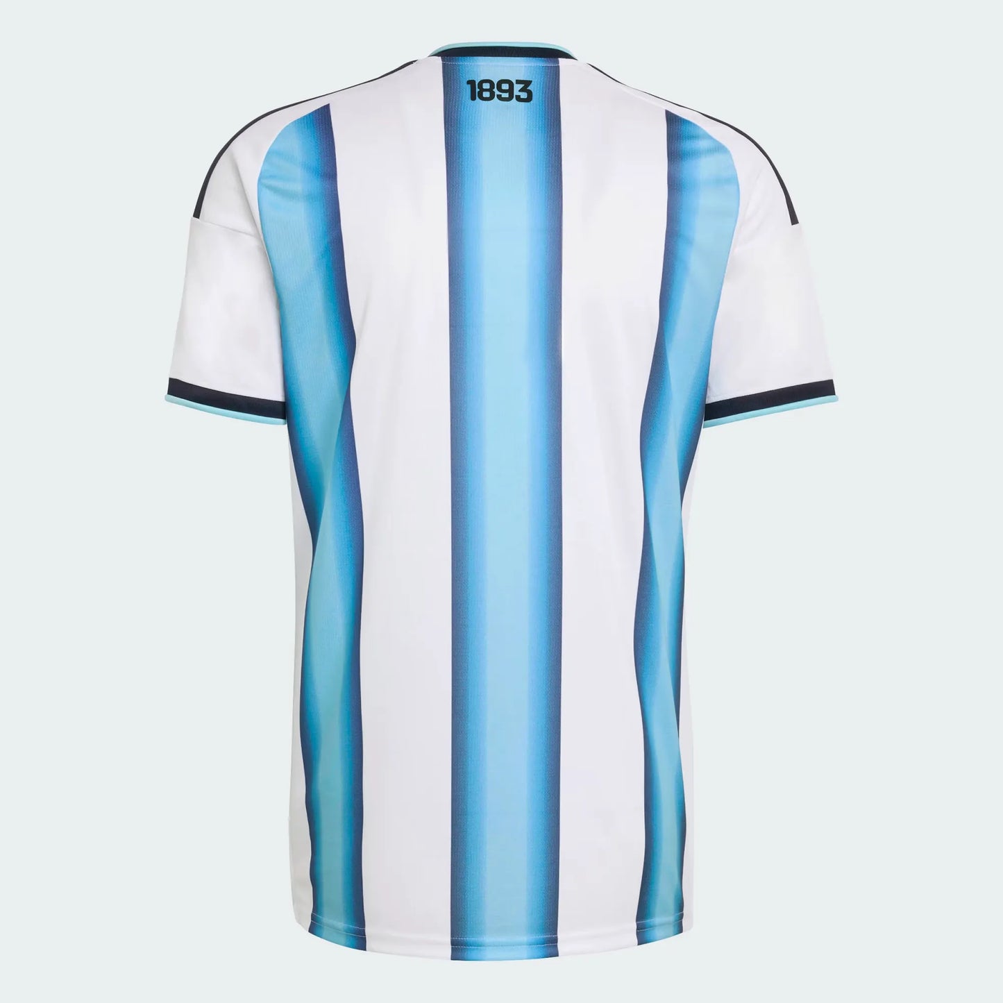 Camiseta de la primera equipación para hombre