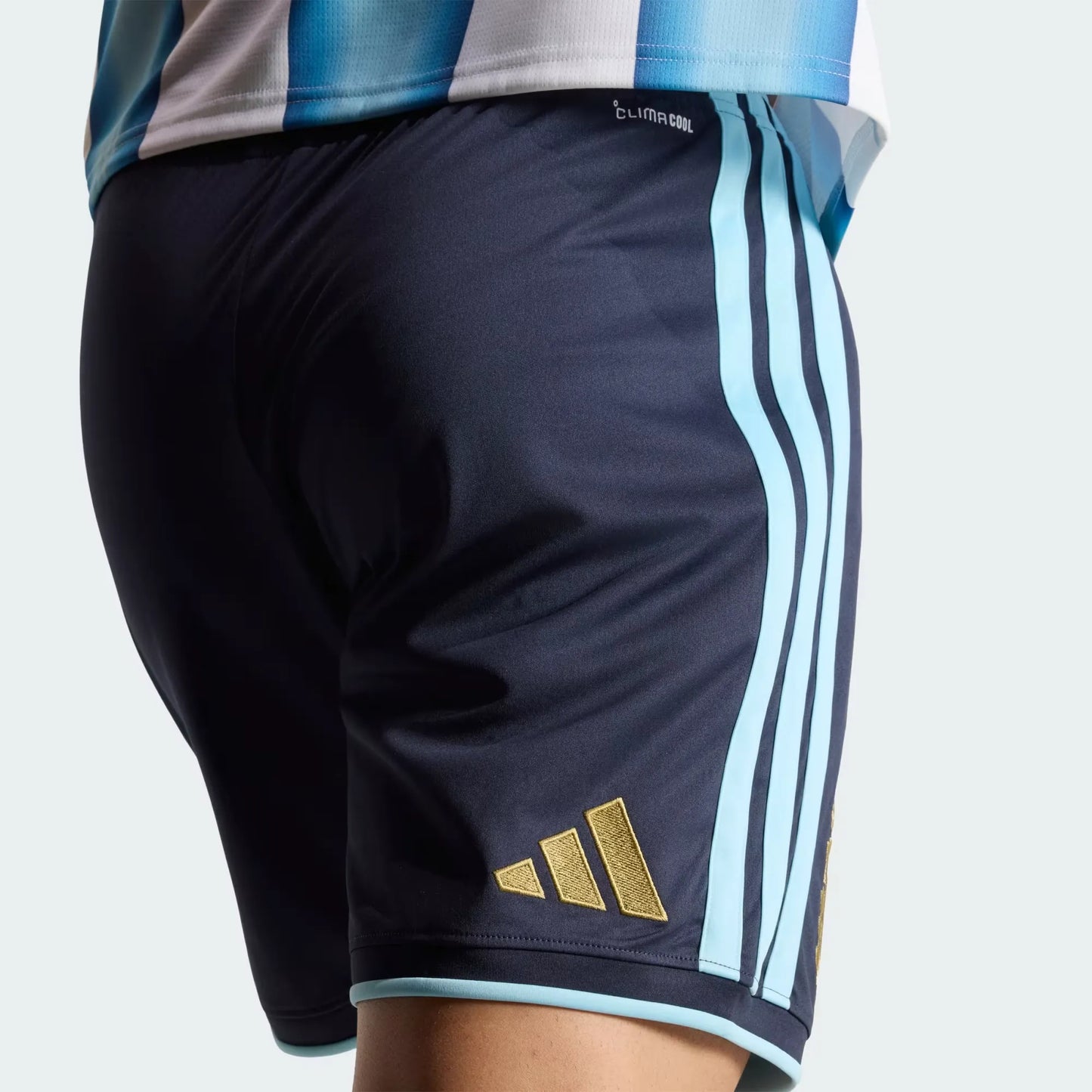 Shorts Titular Selección Argentina 26