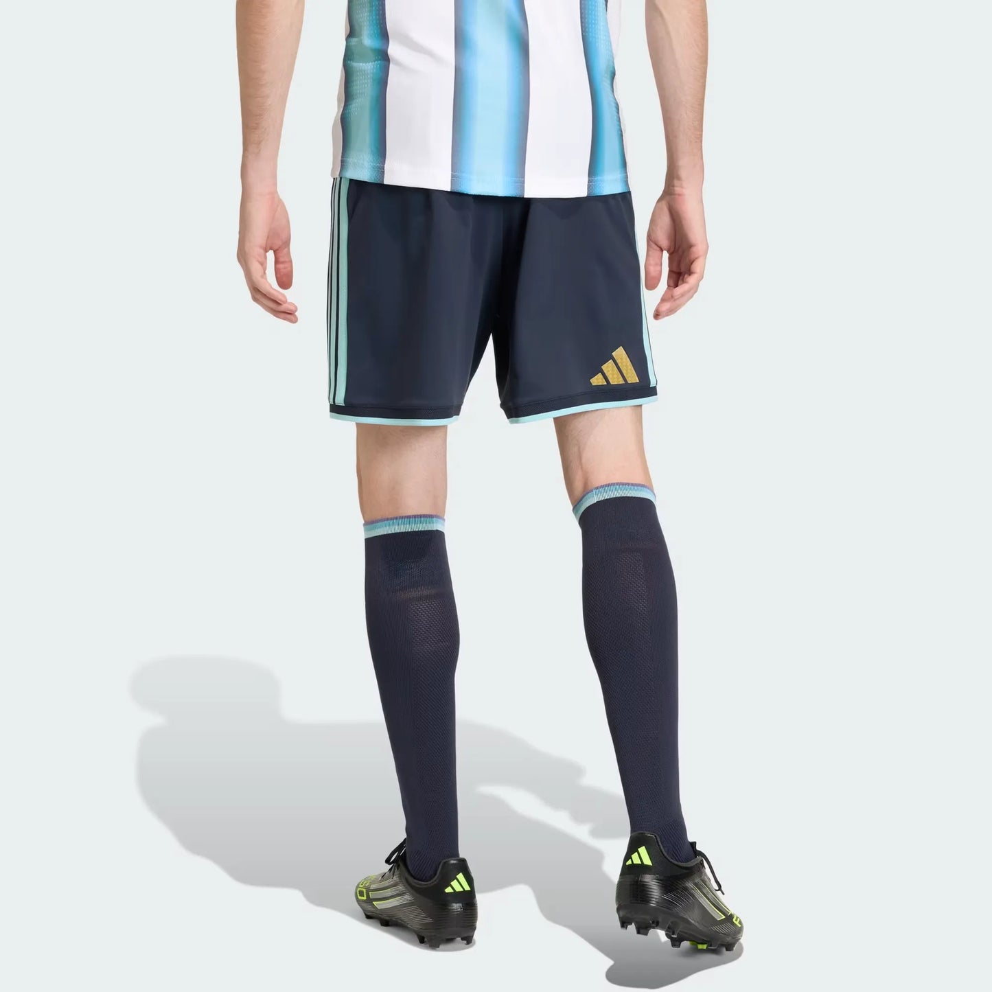 Shorts Titulares Selección Argentina 26 Versión Jugador